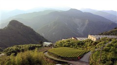 嘉義阿里山