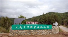 雙鴨山
