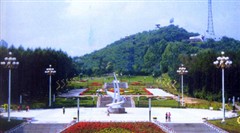 七臺河