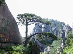 大美黃山（宿山頂）、古韻宏村 西海大峽谷、雙古街高鐵純玩三日游