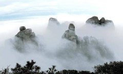 春節泉州到太姥山、九鯉溪汽車二日游