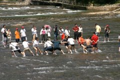 動感九鯉溪，夢幻崳山島汽車二日游