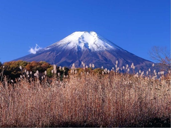 日本富士山