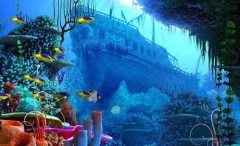 泉州晉江到福州羅源灣海洋世界動車二日游18.3