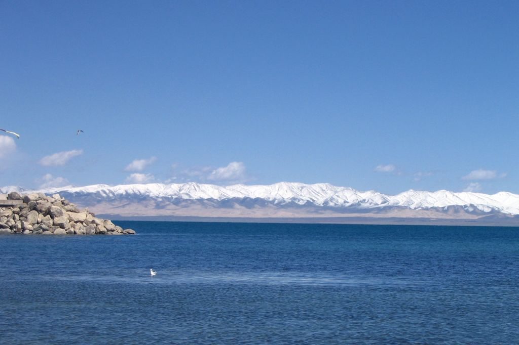 青海青海湖