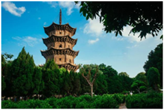 司機兼導(dǎo)游