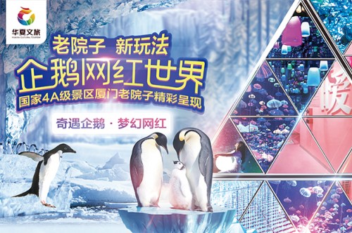 廈門老院子企鵝.jpg