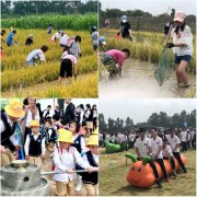 聚龍小鎮-稻田摸魚賽 | 揭秘摸魚小白到達人的晉級之路1日游20.6