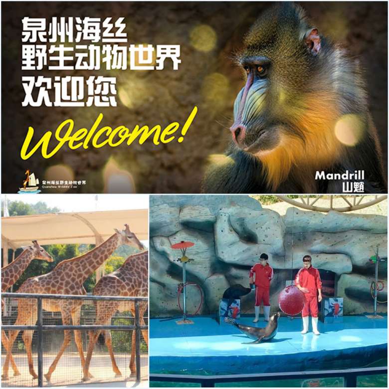 泉州海絲動物園.jpg