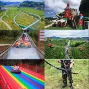 [小眾清新?純玩桃源里]三明大田桃源里花海樂園、大仙峰茶天下景區一日游20.7