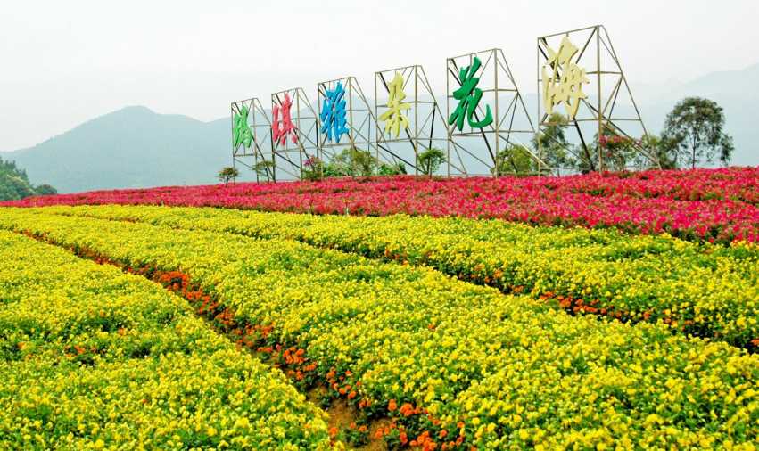漳州長泰十里藍山.jpg