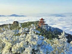 德化九仙山霧凇