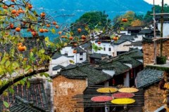 鄱陽湖+石鐘山+葛仙山+三清山+篁嶺+廬山豪華雙動6日游*至尊江西